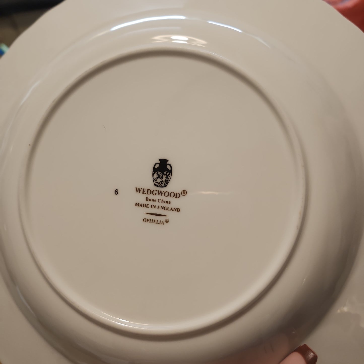 Wedgwood Ohpelia FIne Bowl China Pasta bowl