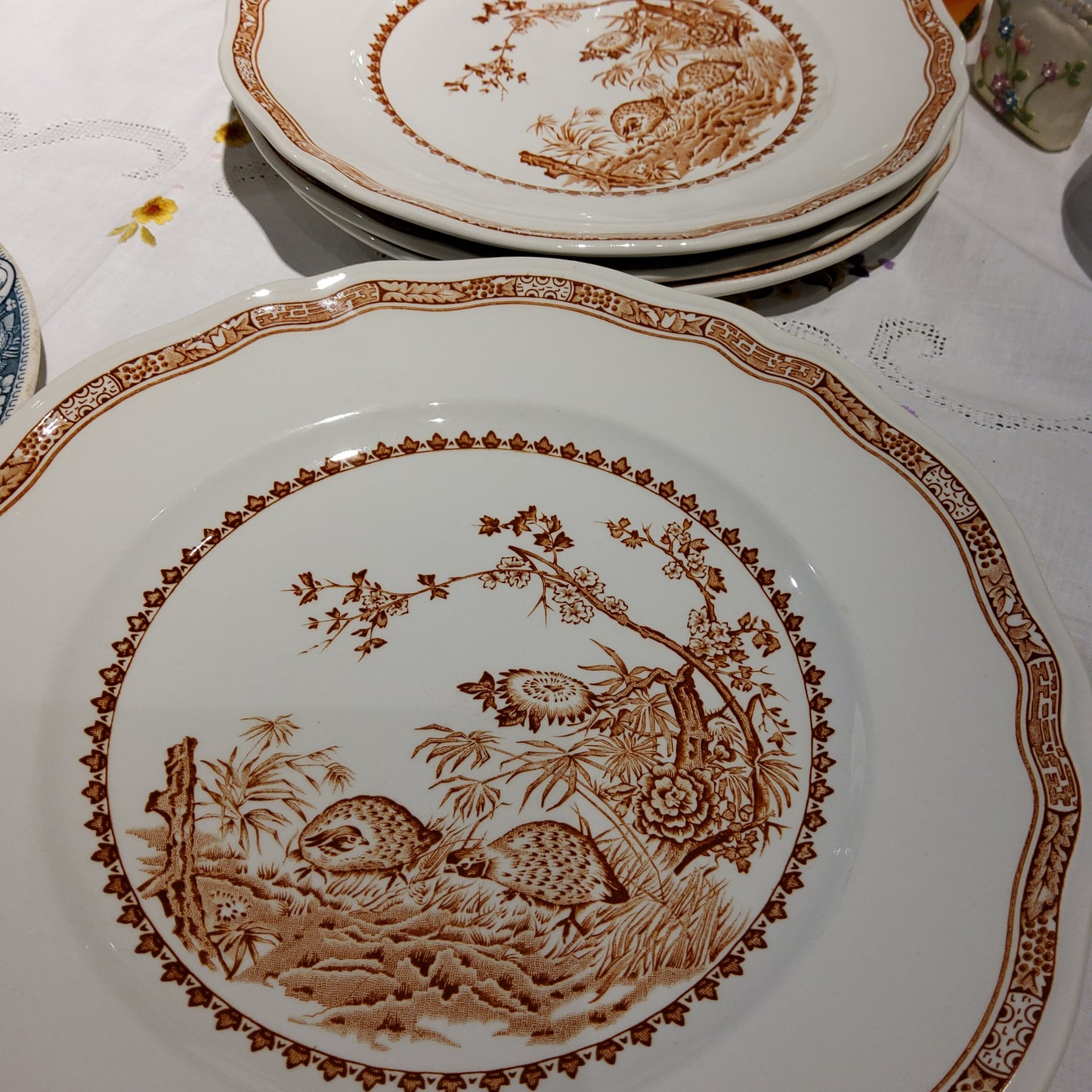 Assorted Quail Series Dinner Plate (26cm)