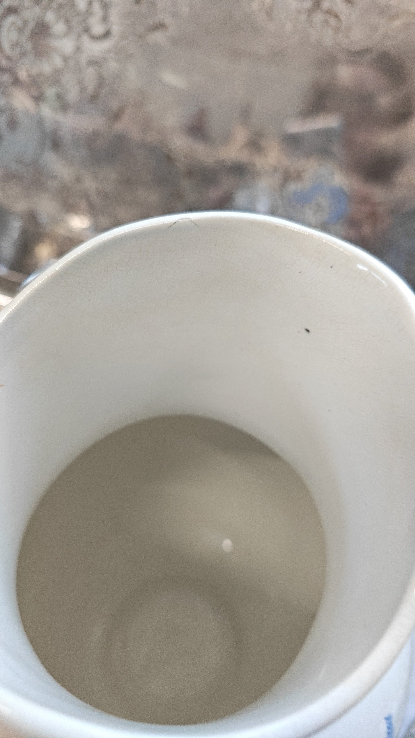 19th french Antique jug with blue transferware