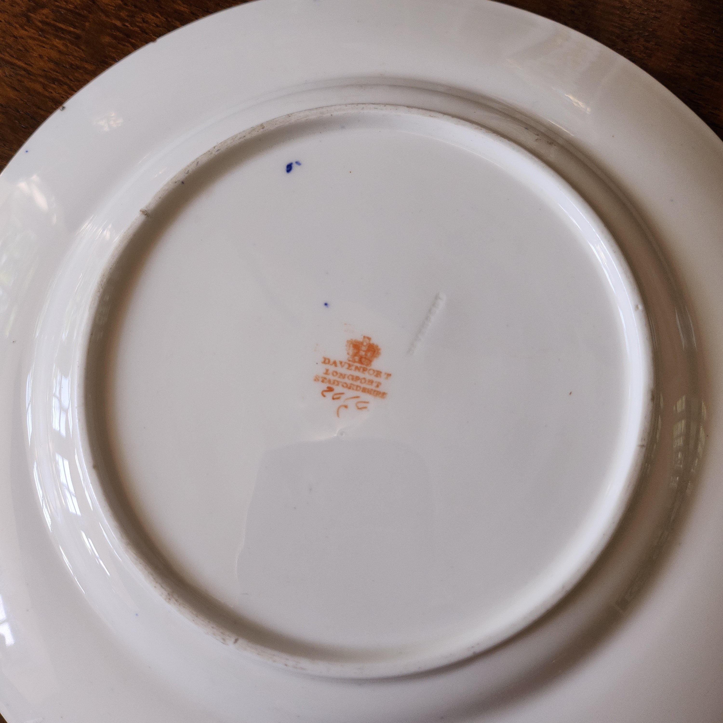 Amazing and rare Davenport 20 cm plate
