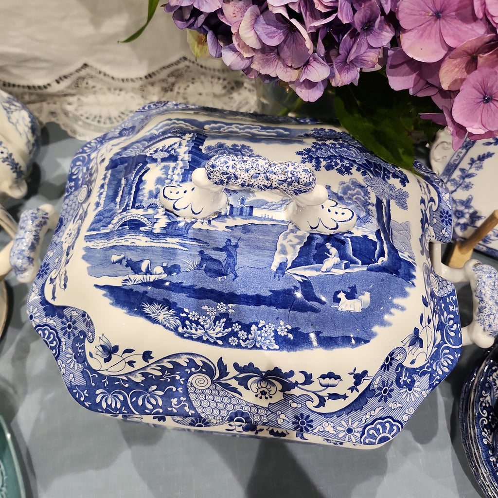 Amazing Rare  Spode Blue and White Big Tureen