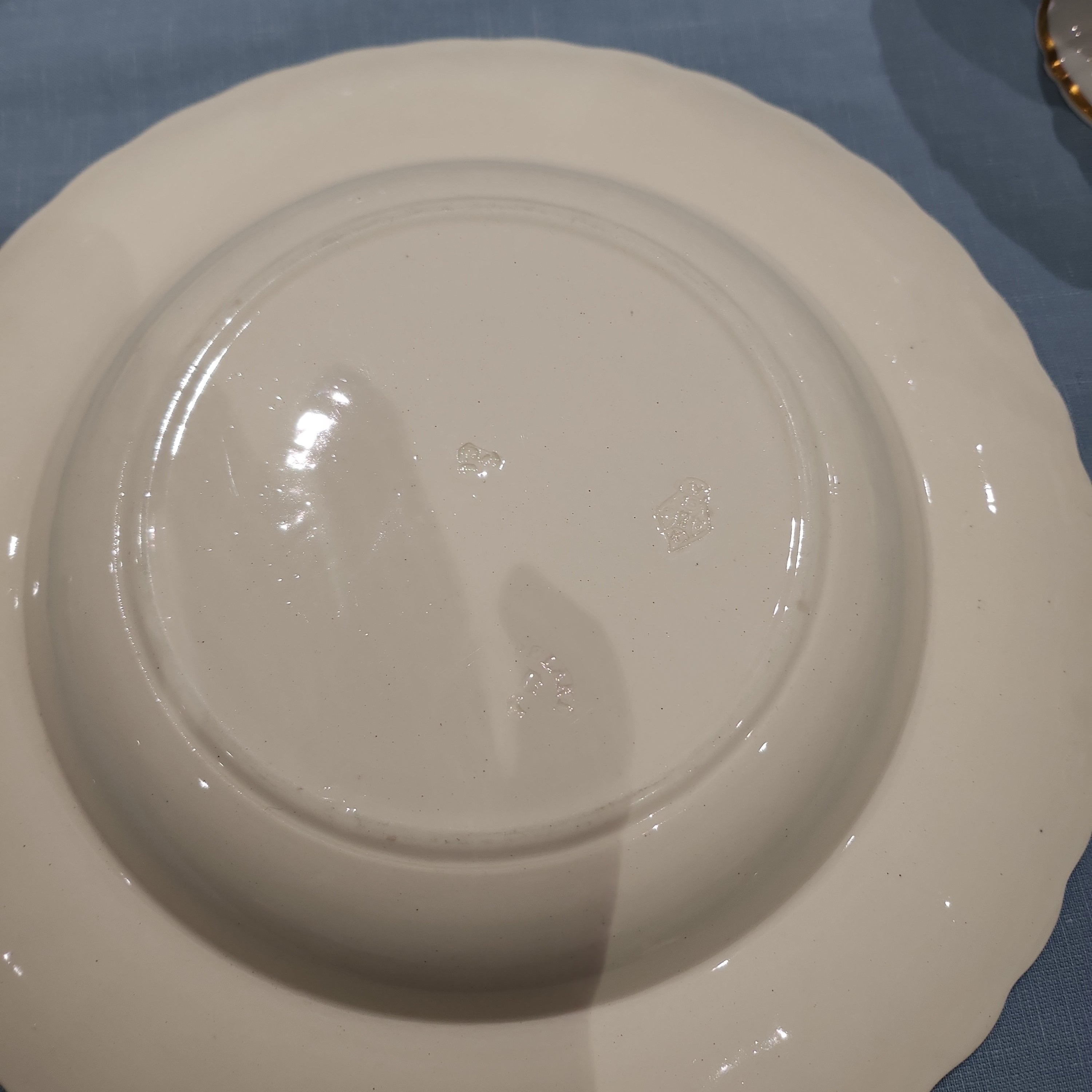 Whimsical rare Antique Spode Copeland Wild Bird series Bowl with rim
