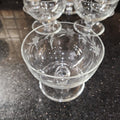 Vintage desert glass with etching