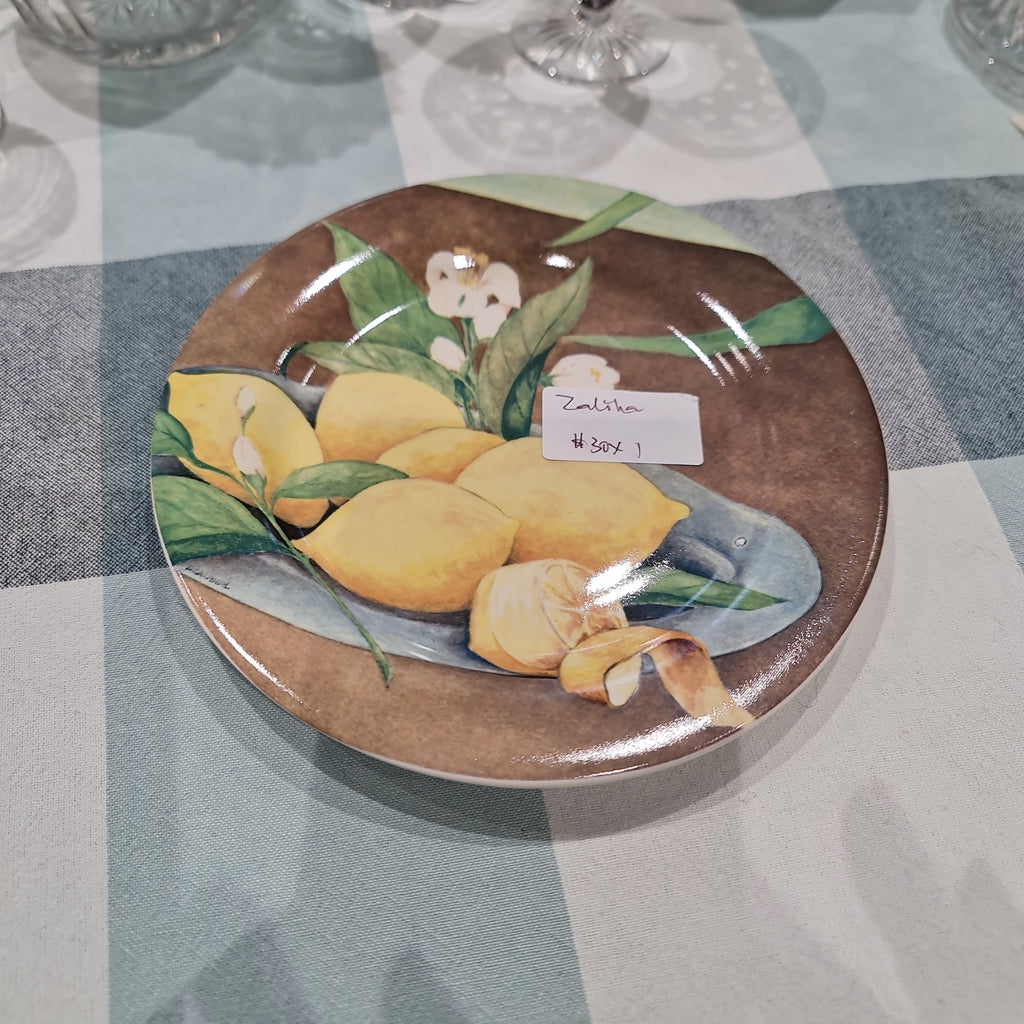 Garanti Gien house french plate