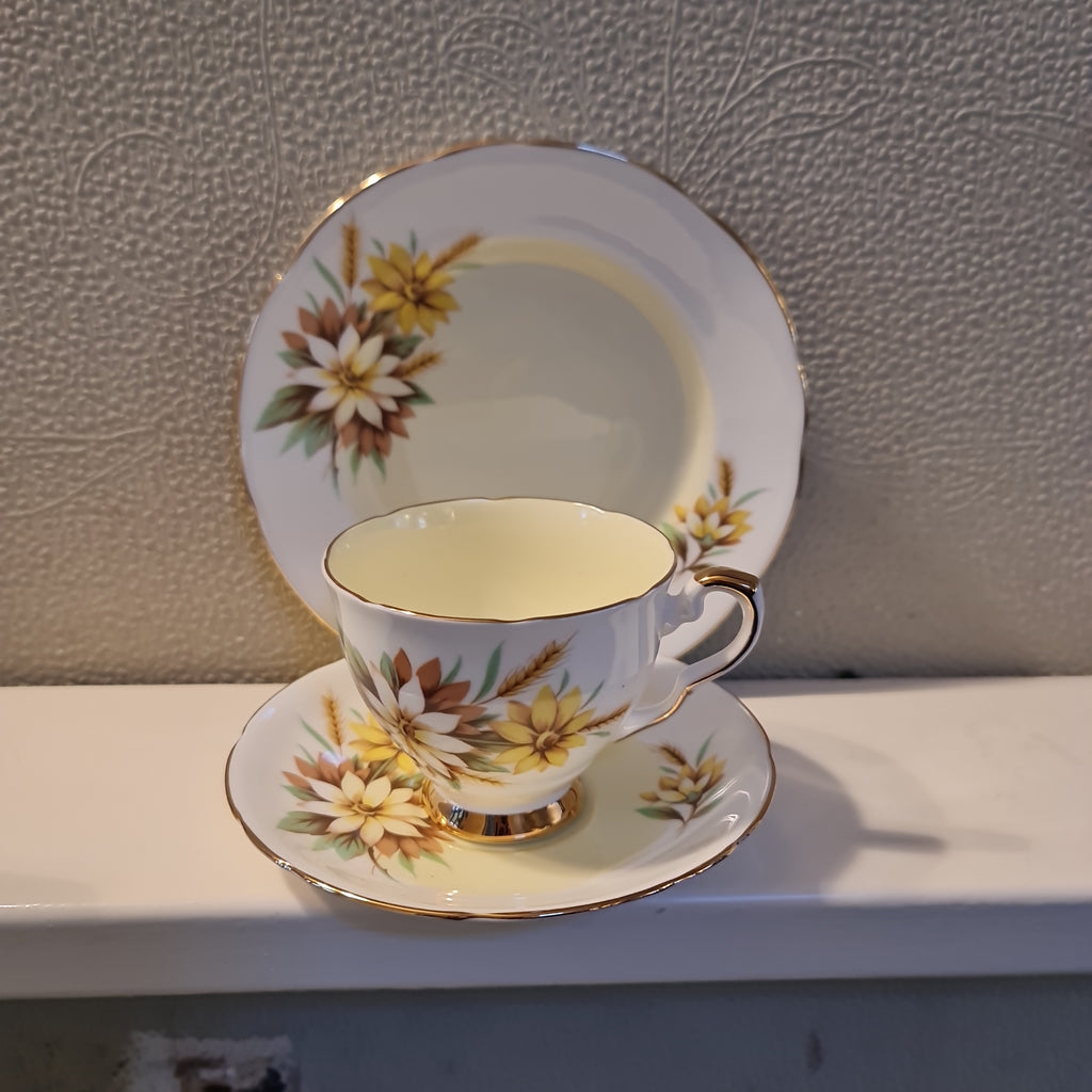 Royal Stafford Marguerite vintage Tea set  fine bone china tea set trio