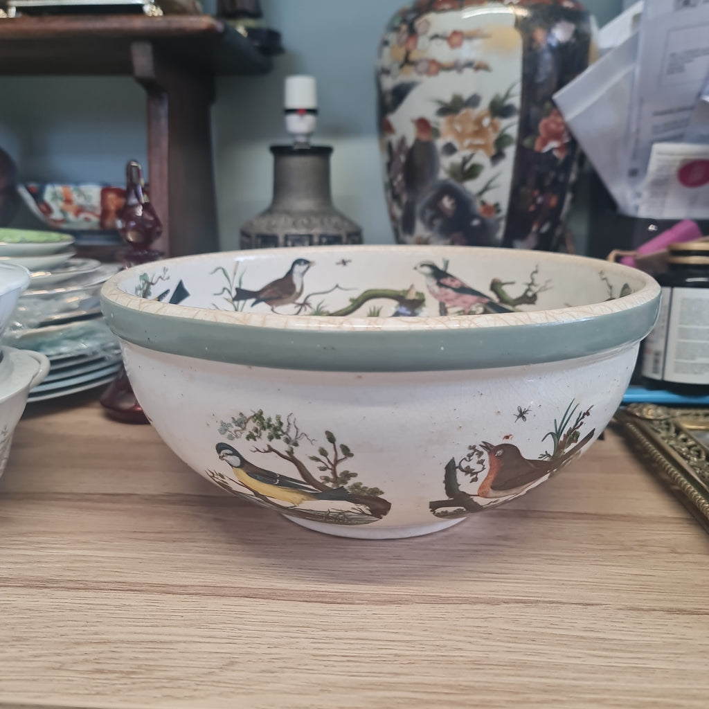 Vintage Portmeirion big bowl- with age related crazing