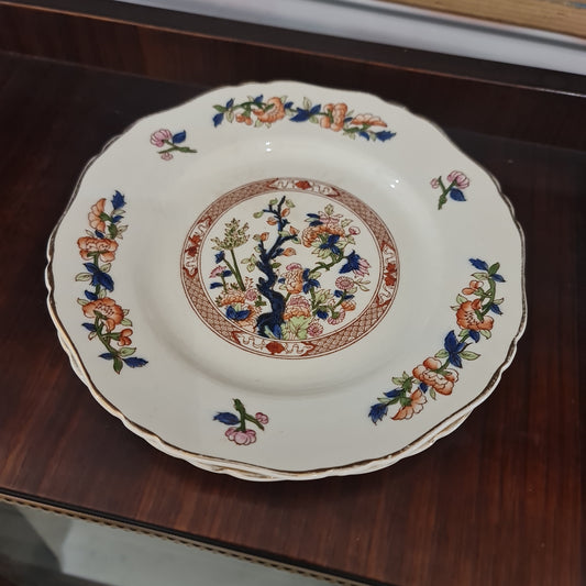 Hancock and son rare India tree 20 cm plate