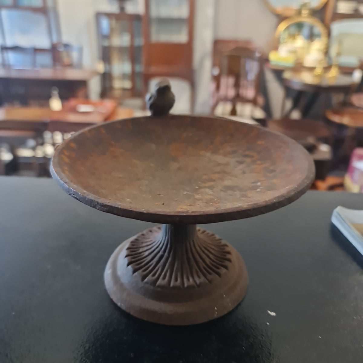 Vintage cast iron burd Bath
