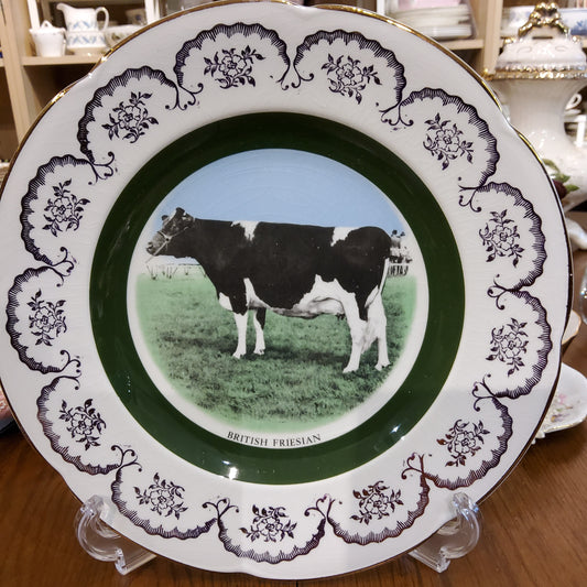 British Friesian Cattle Series Decorative Plate by Wood & Sons