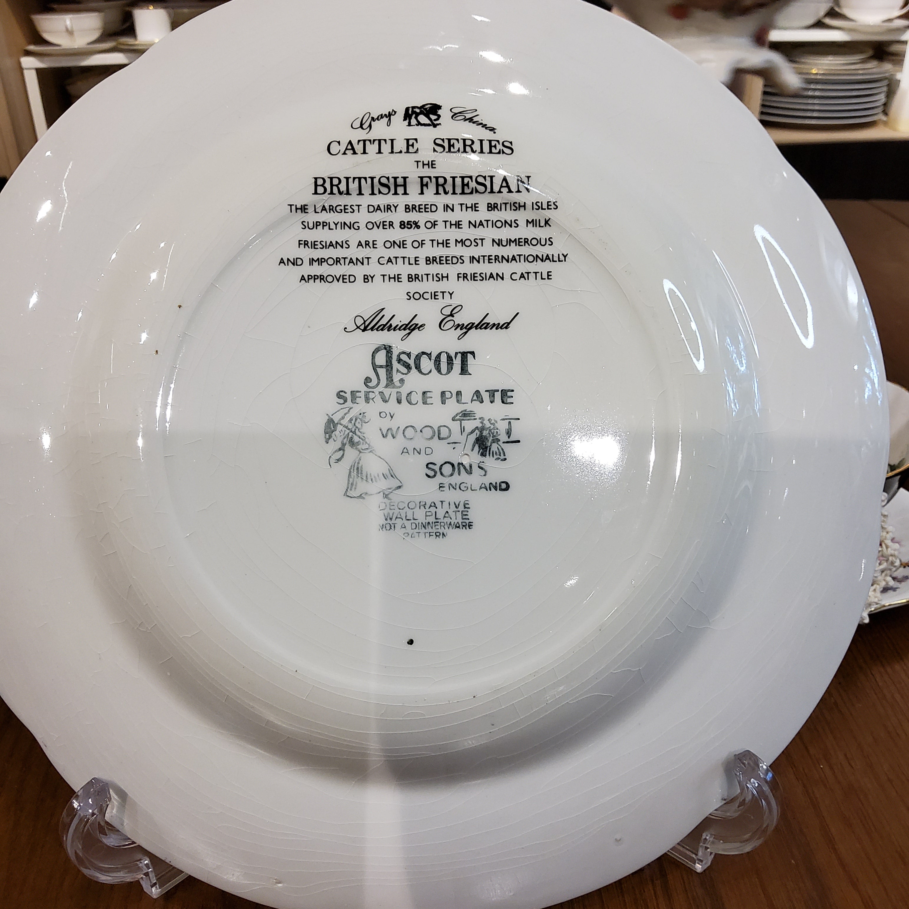 British Friesian Cattle Series Decorative Plate by Wood & Sons
