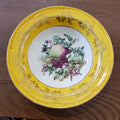 Royal Alma Fruit motif Salad bowl with yellow border