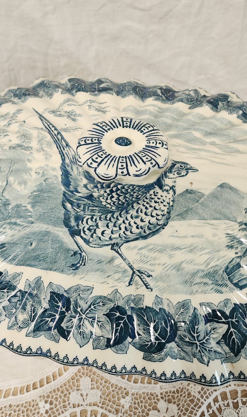 Whimsical Rare Spode Copeland wild birds series big tureen /serving dish- with defect under the lid cover