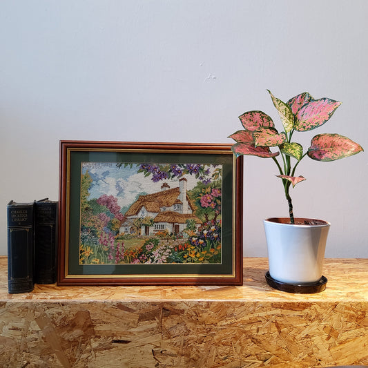 Home Cottage Picture Landscape