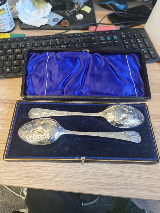 Fantastic and rare 19th century silver plated serving spoon a pair