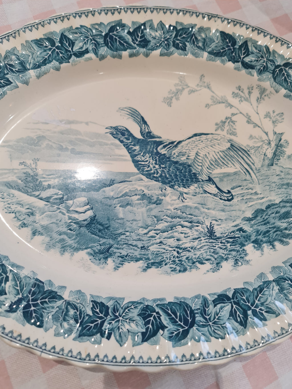 Rare Spode copeland wild bird series big platter - minor nip on the back of plate