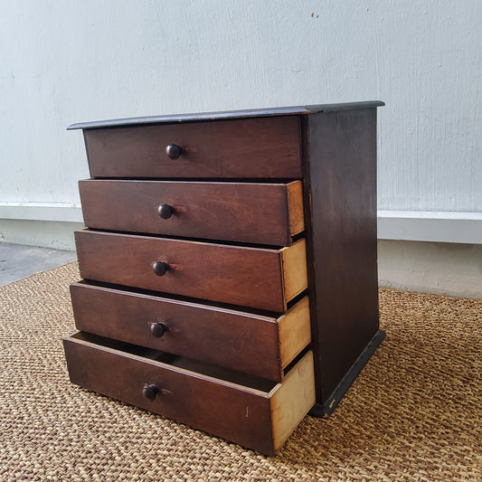 Small Wooden Specimen Cabinet 1980s