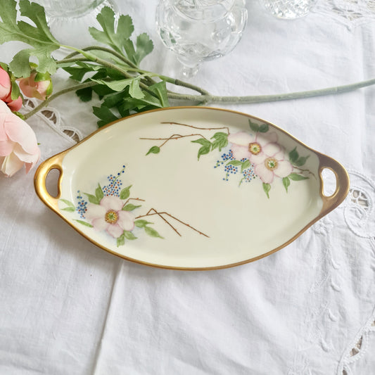 Epiag czechoslovakia vintage Hand painted serving tray