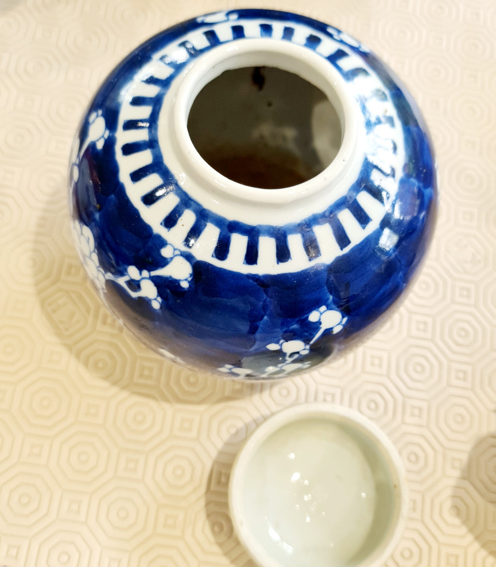 19th century Chinese blue and white porcelain prunus pattern ginger jar and cover, 19th century, height 21cm, diameter 16.5cm.