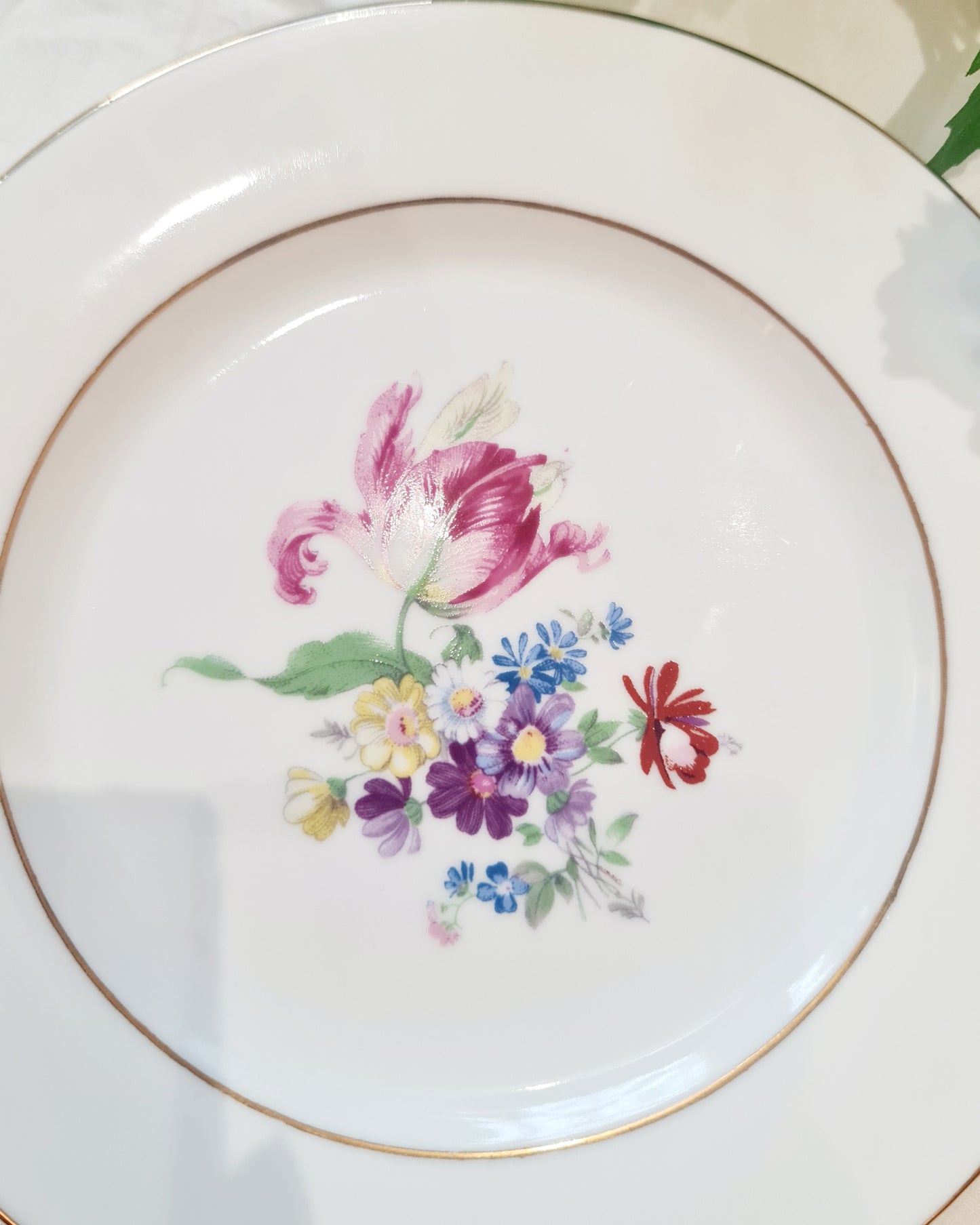 Colonial williamburg 20 cm flora plate