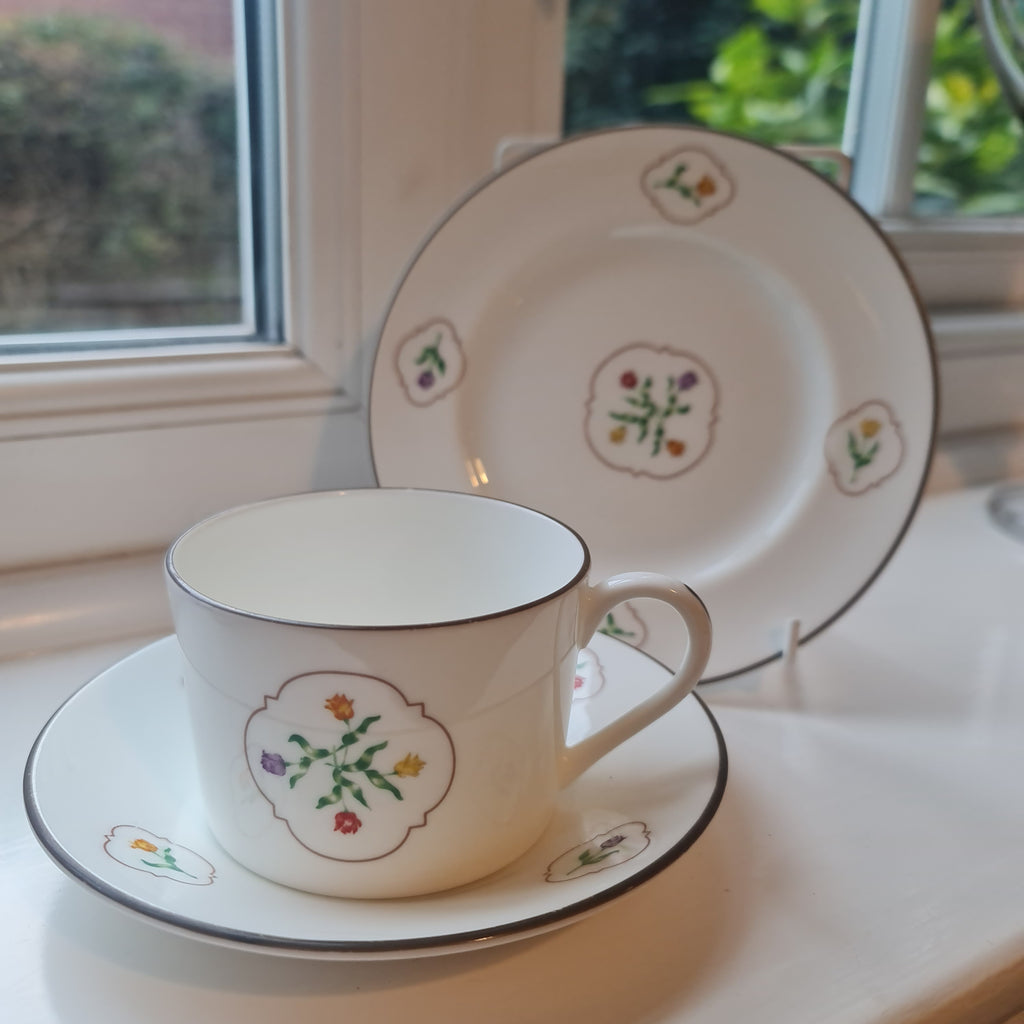 Rare Coalport handpainted tulip medallions coffee set trio