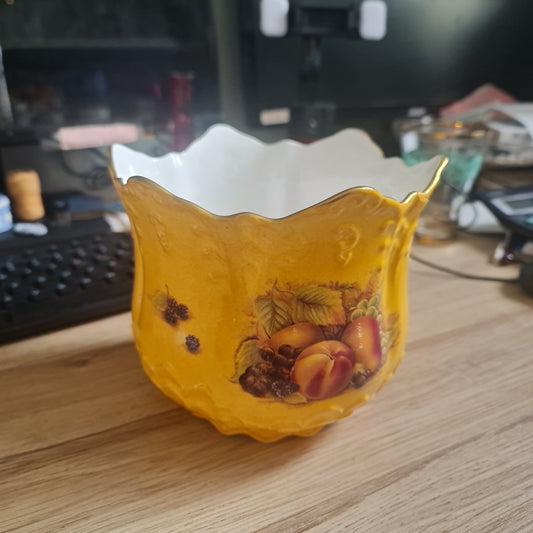 Aynsley orchard gold plant pot