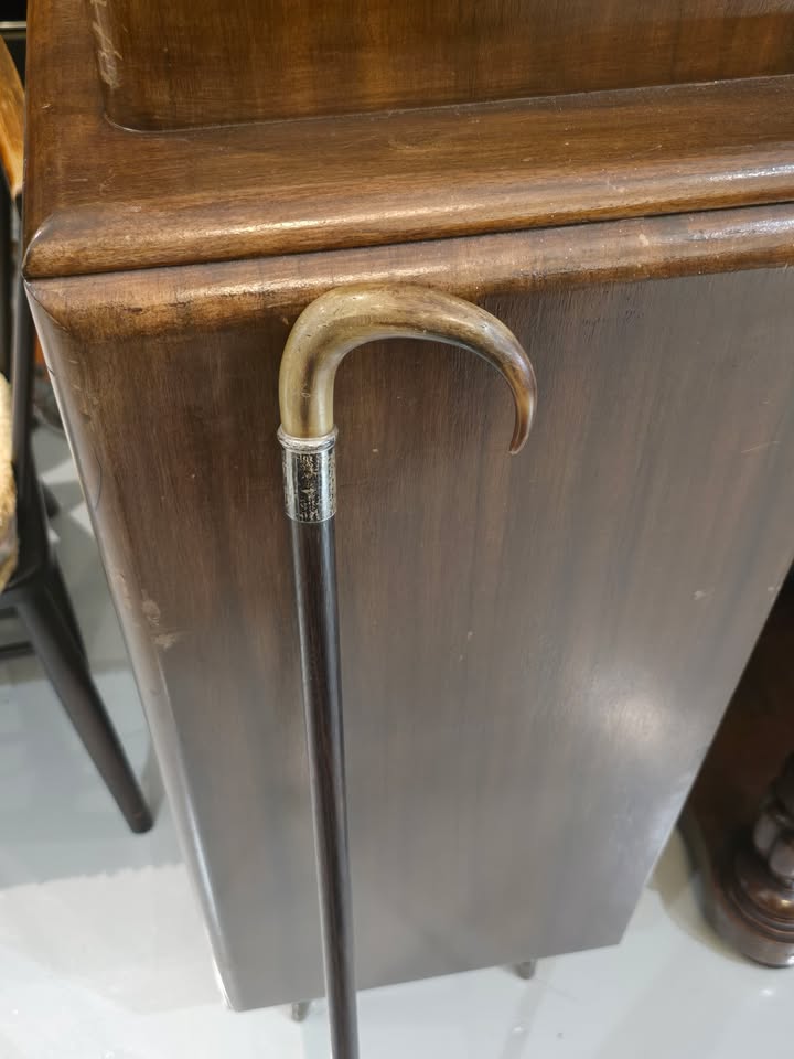 Late 19th Century Great Dane Cane / Walking Stick with Gold Collar