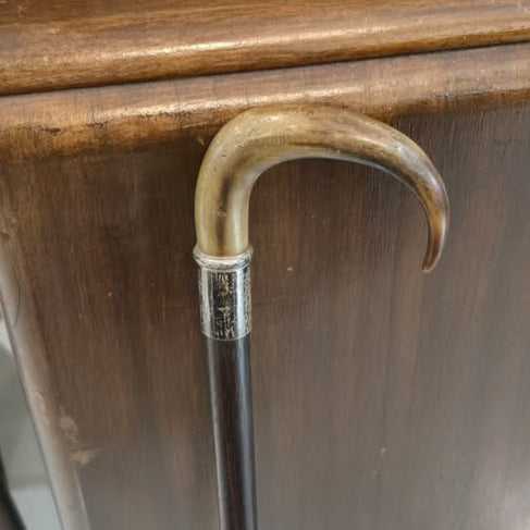 Late 19th Century Great Dane Cane / Walking Stick with Gold Collar