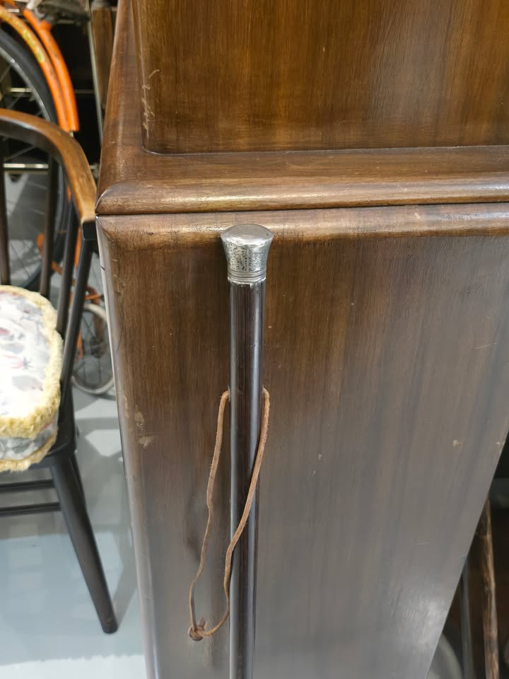 Late 19th Century Great Dane Cane / Walking Stick with Gold Collar