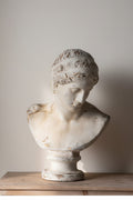 A classical-style stone bust sculpture displayed on a wooden console table in a softly lit interior room, with a plant at left and a mirror reflecting part of the bust.
