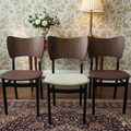 Mid-Century Modern Brazilian rosewood  Dining Chairs with Scoop Back