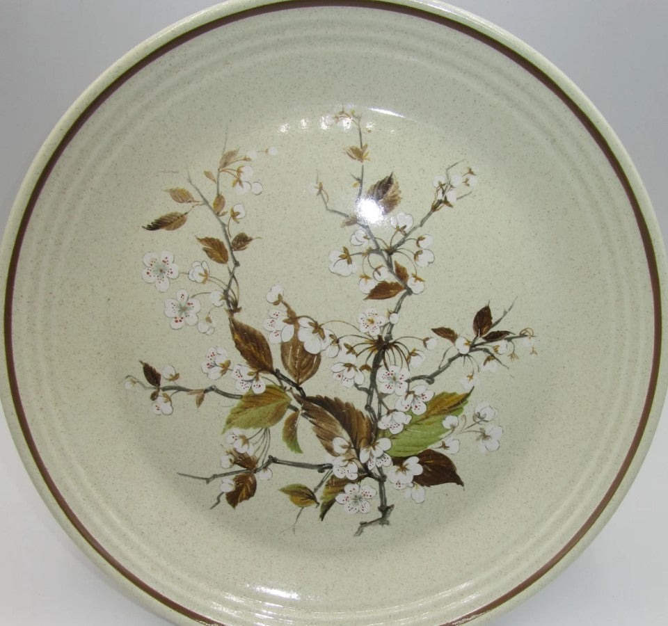 Royal Doulton Vintage Wild Cherry 24 cm Dinner Plate