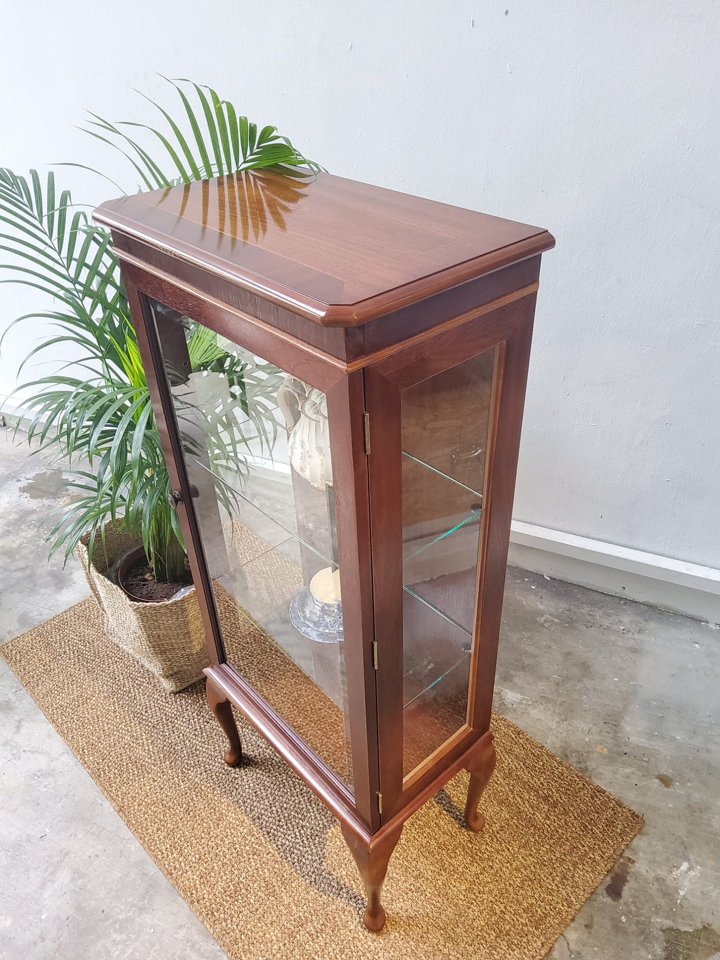 Single Door Display Cabinet in Mahogany