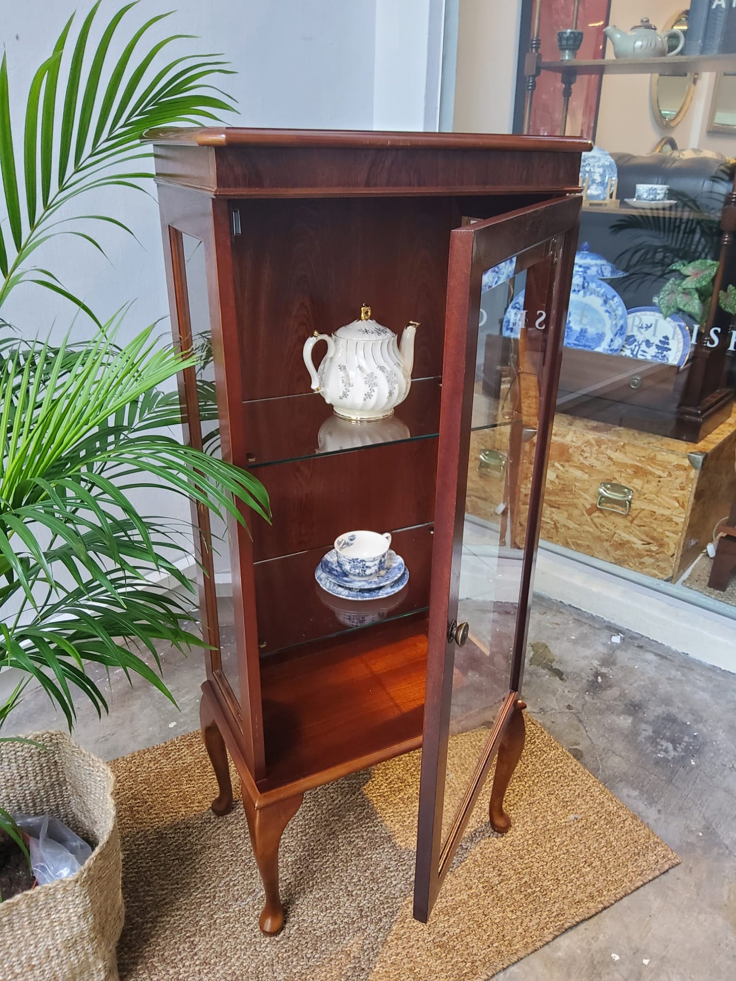 Single Door Display Cabinet in Mahogany