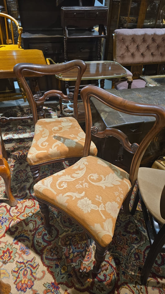 An Edwardian Mahogany Chairs