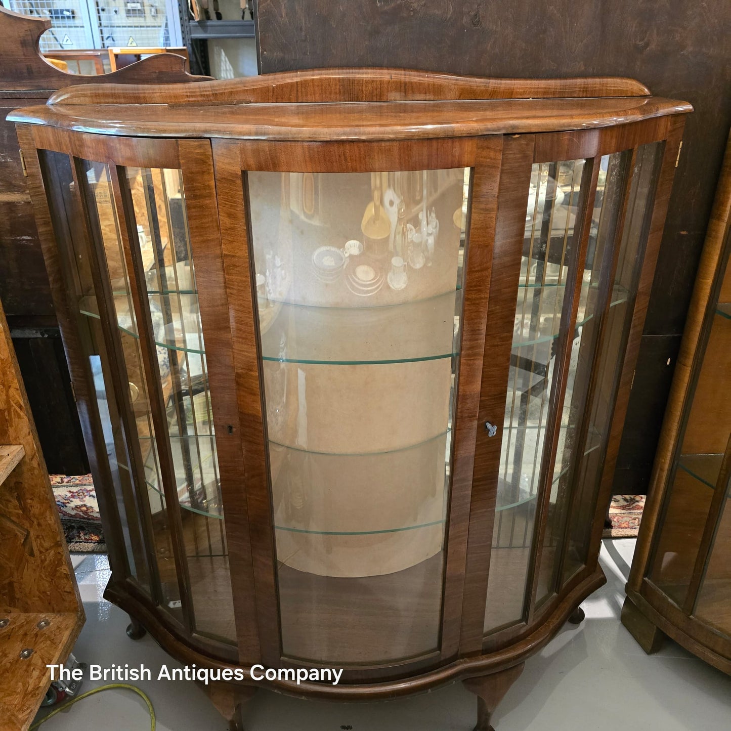 Vintage Bow-Front Display Cabinet 1930s-1950s