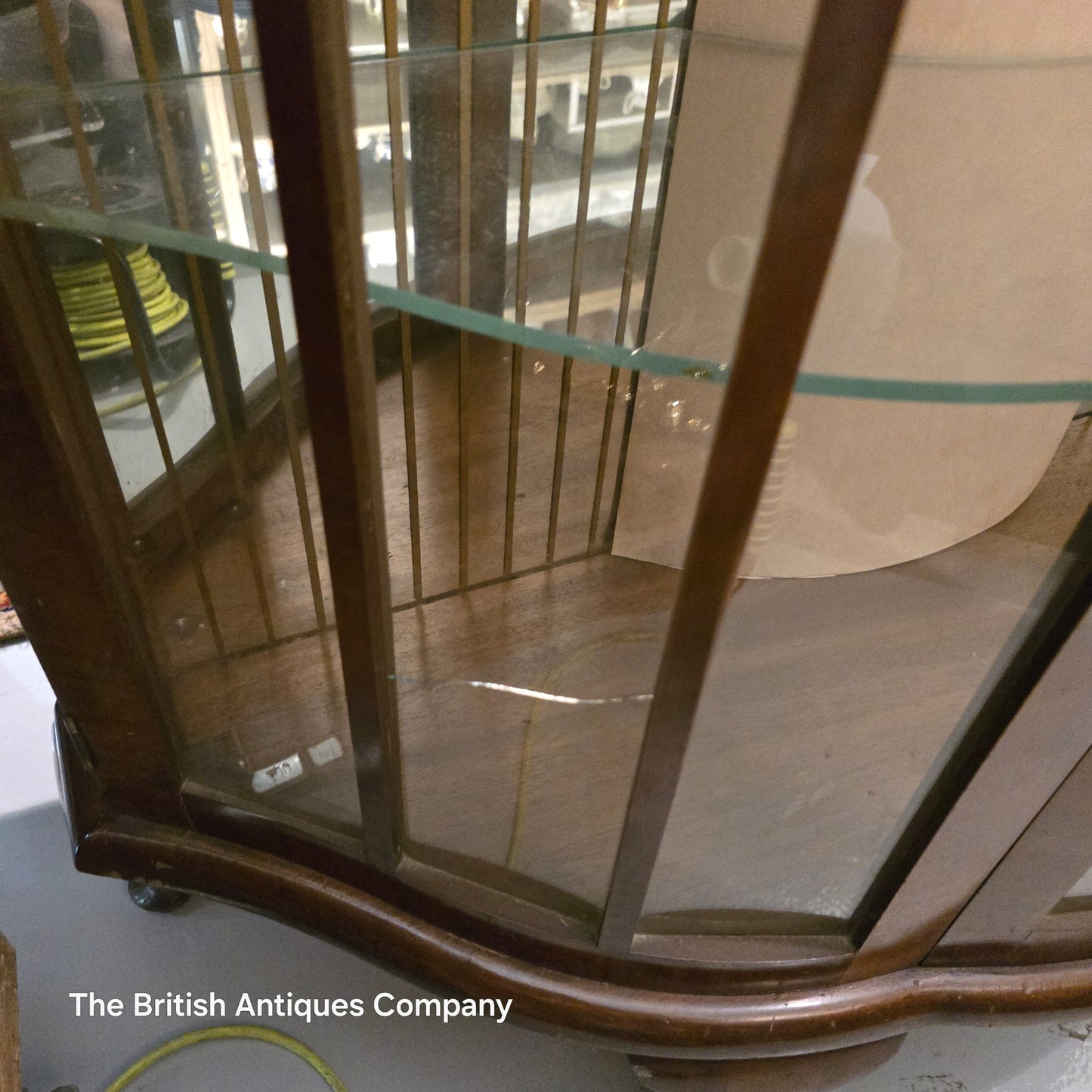 Vintage Bow-Front Display Cabinet 1930s-1950s