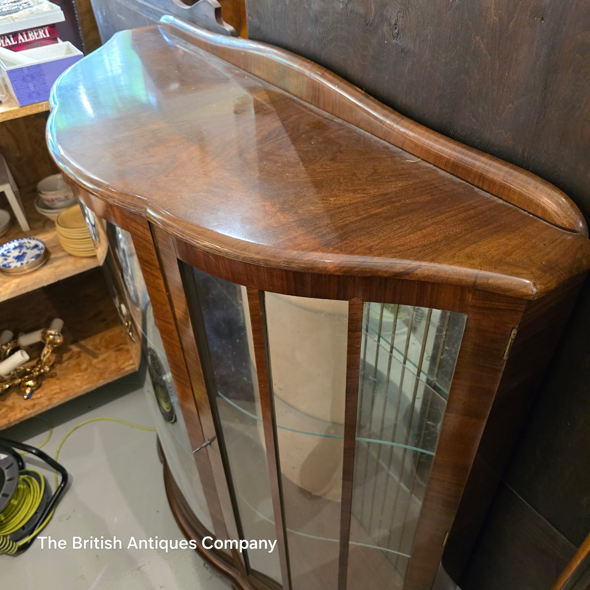 Vintage Bow-Front Display Cabinet 1930s-1950s
