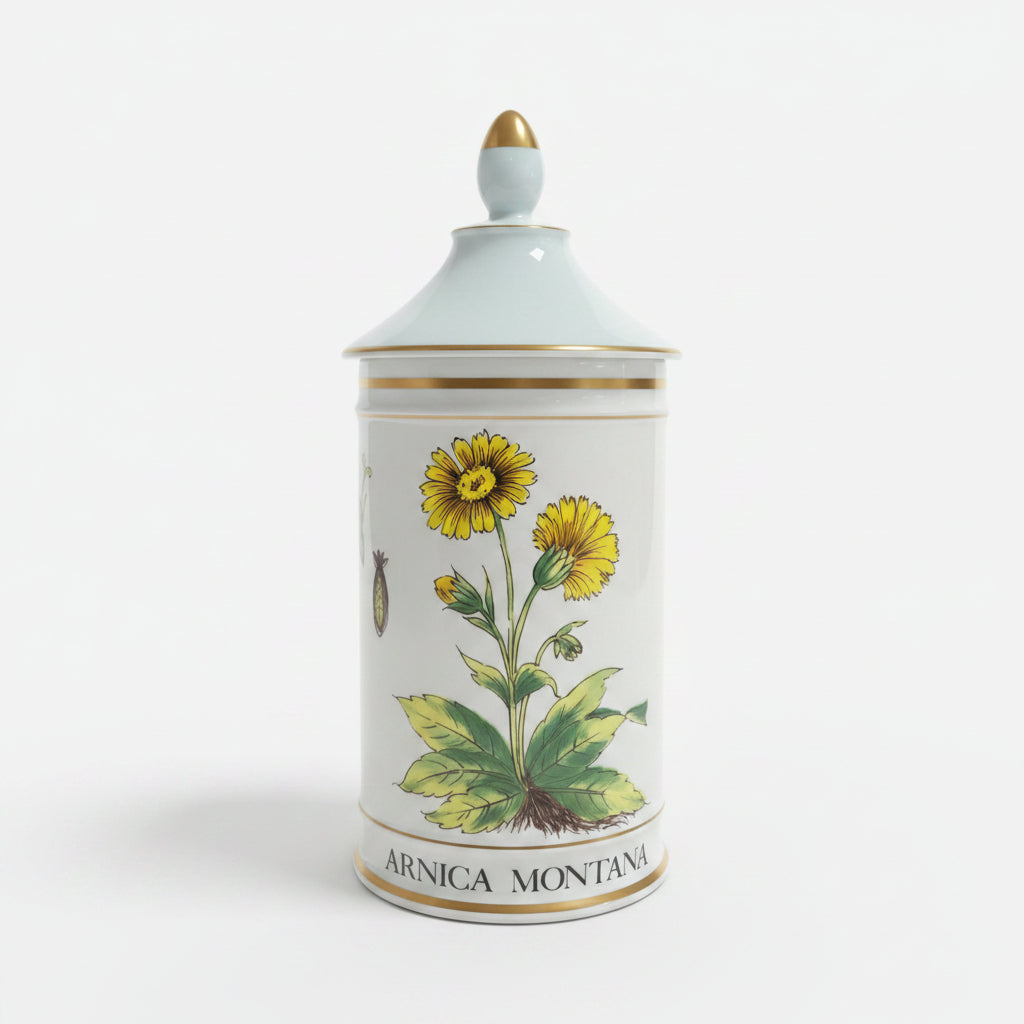Rare Apothecary Jars - Fine French Porcelain by Limoges