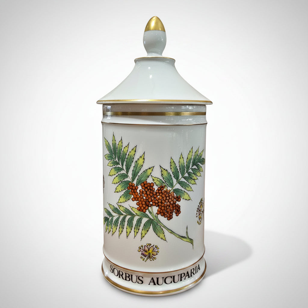 Rare Apothecary Jars - Fine French Porcelain by Limoges