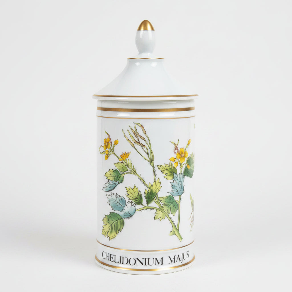Rare Apothecary Jars - Fine French Porcelain by Limoges