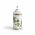 Rare Apothecary Jars - Fine French Porcelain by Limoges