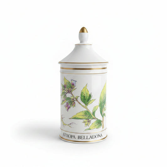 Rare Apothecary Jars - Fine French Porcelain by Limoges