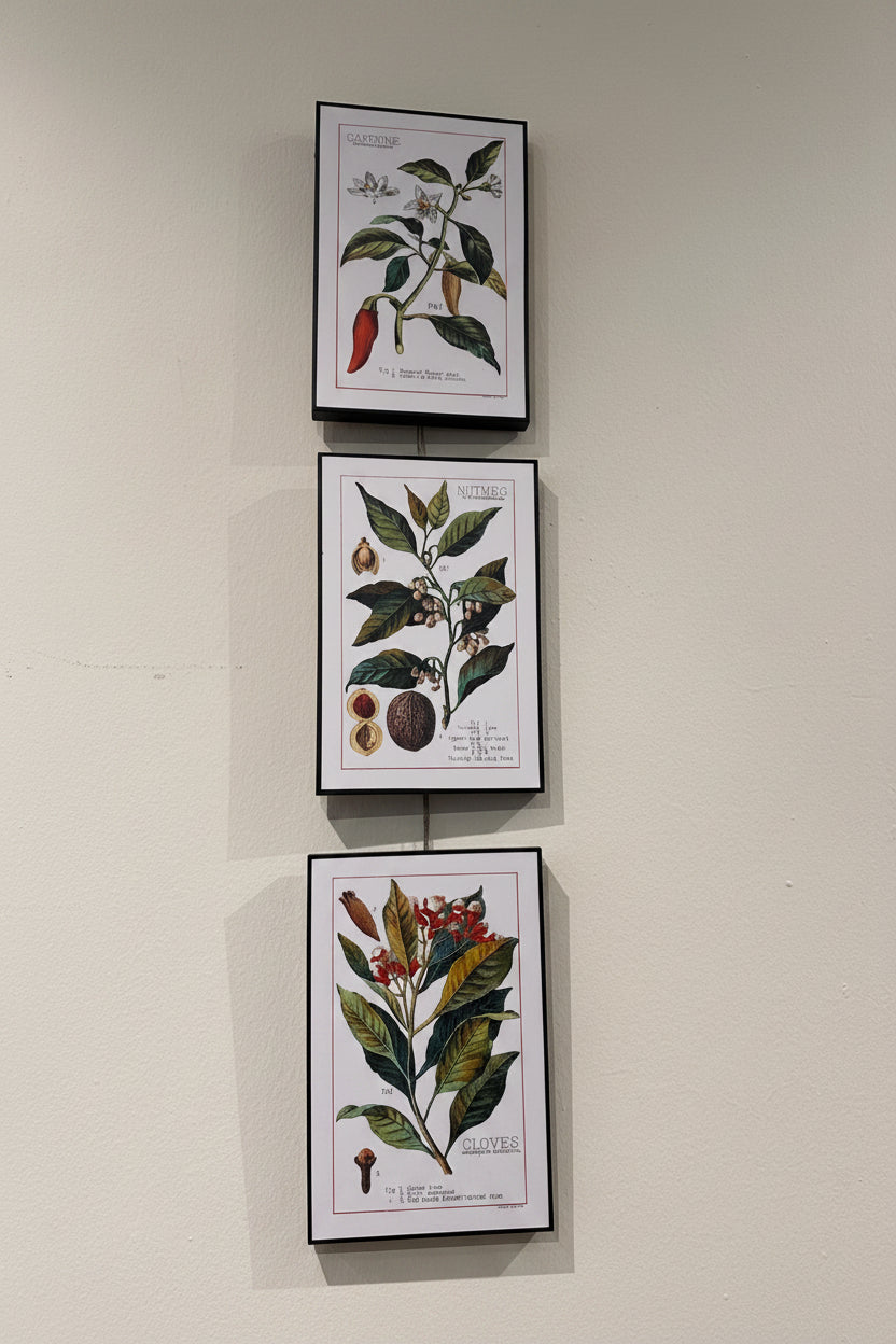 Vintage Botanical Spice Prints: Set of 3 (Cayenne, Nutmeg, Cloves)