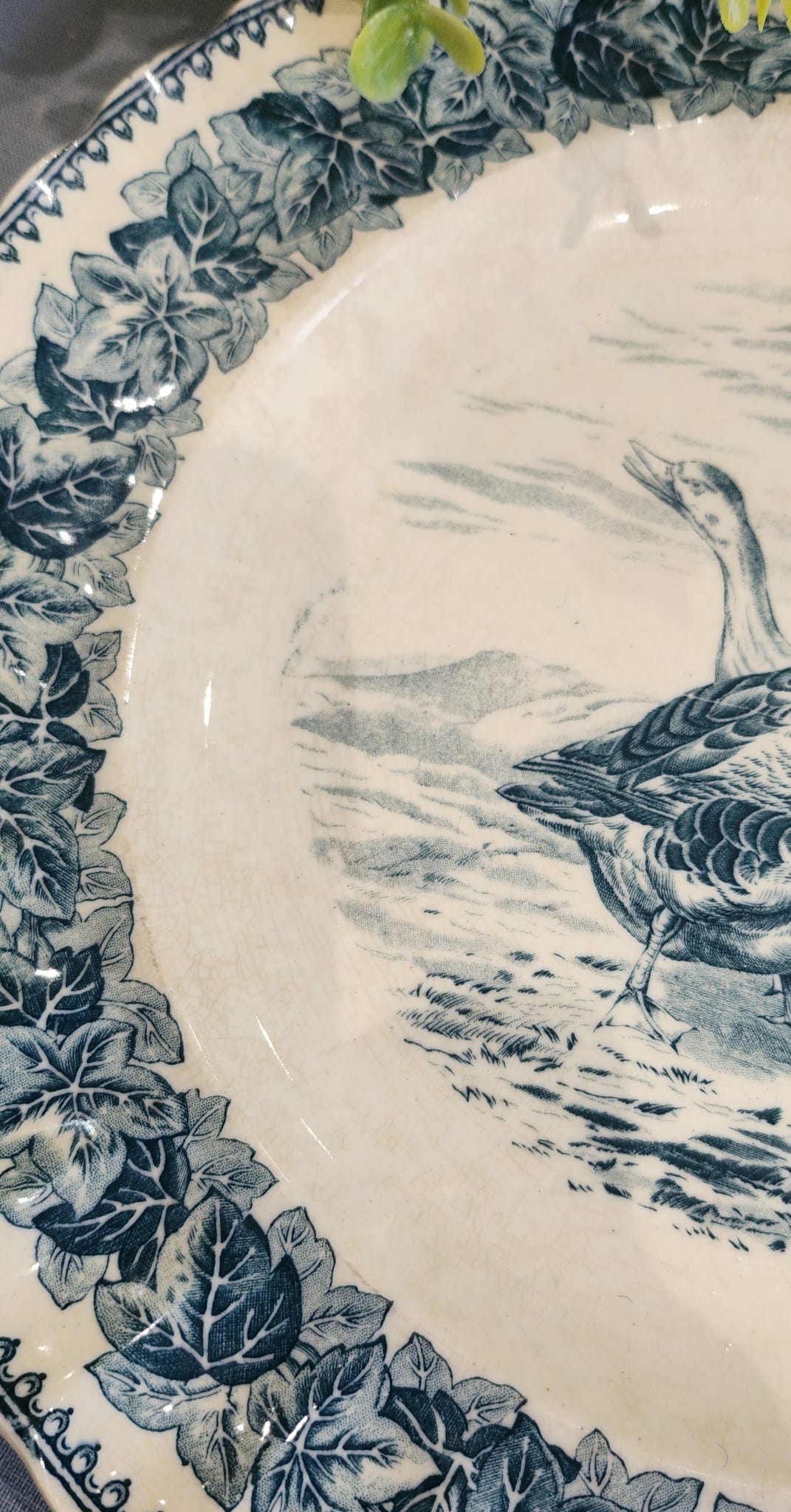 Whimsical Rare Antique Spode Copeland Fowl Big Plate 27 cm