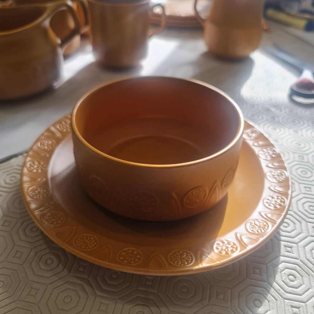 Crown Devon Oven-to-Table Tableware