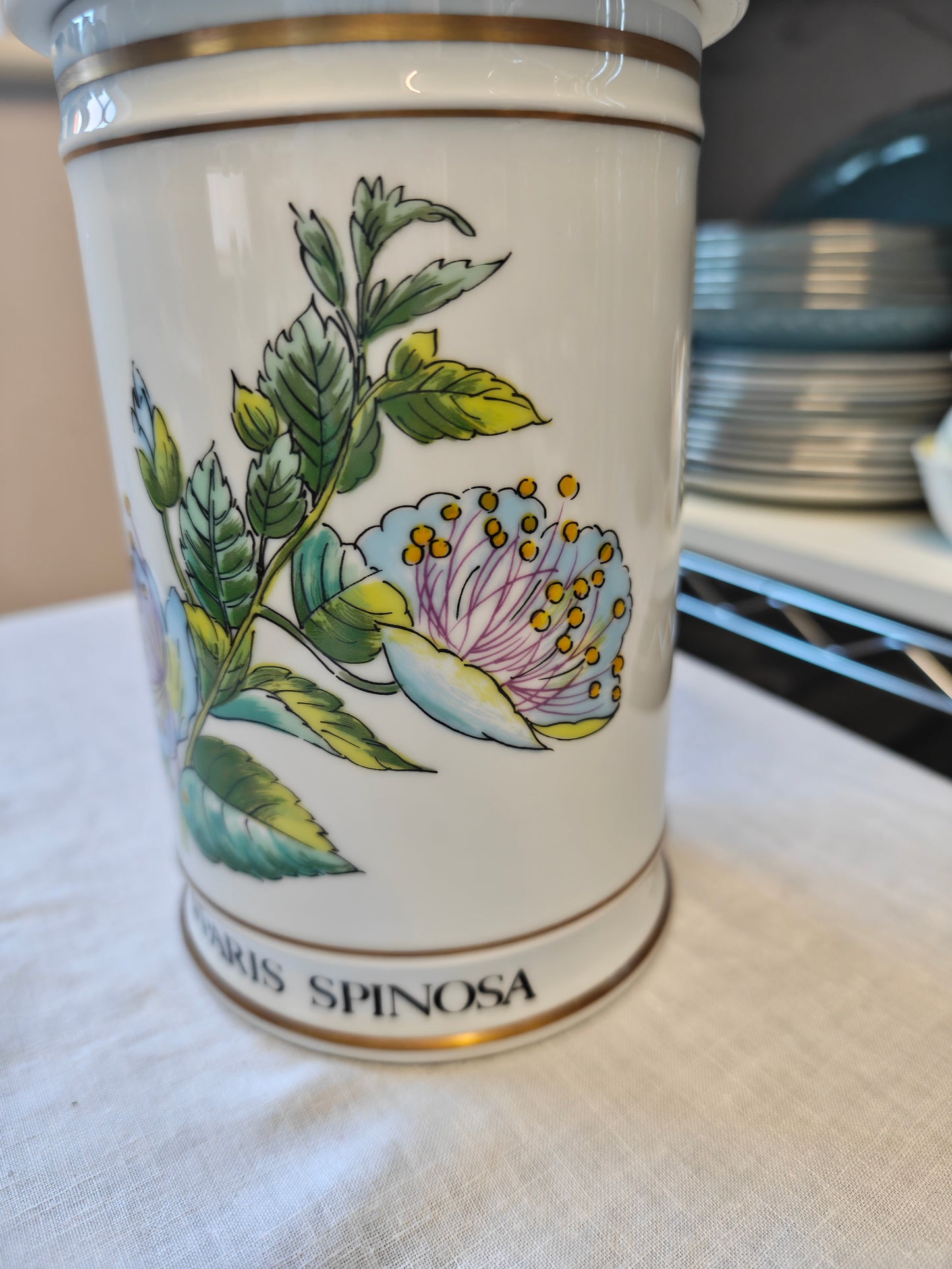 Limoges Porcelain Botanical Apothecary Jars Set Of 2