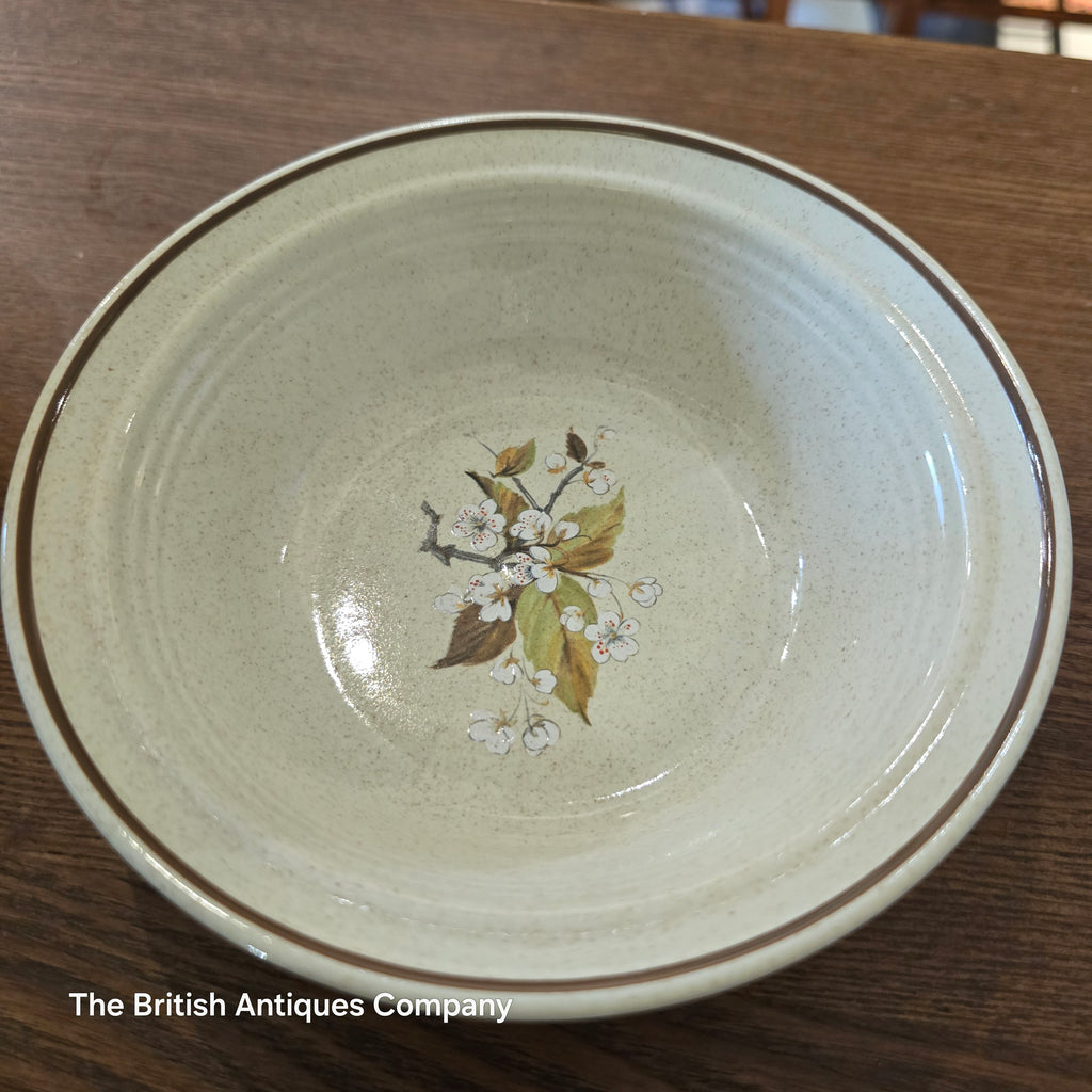 Royal Doulton Wild Cherry Bowl (Diameter 15cm)