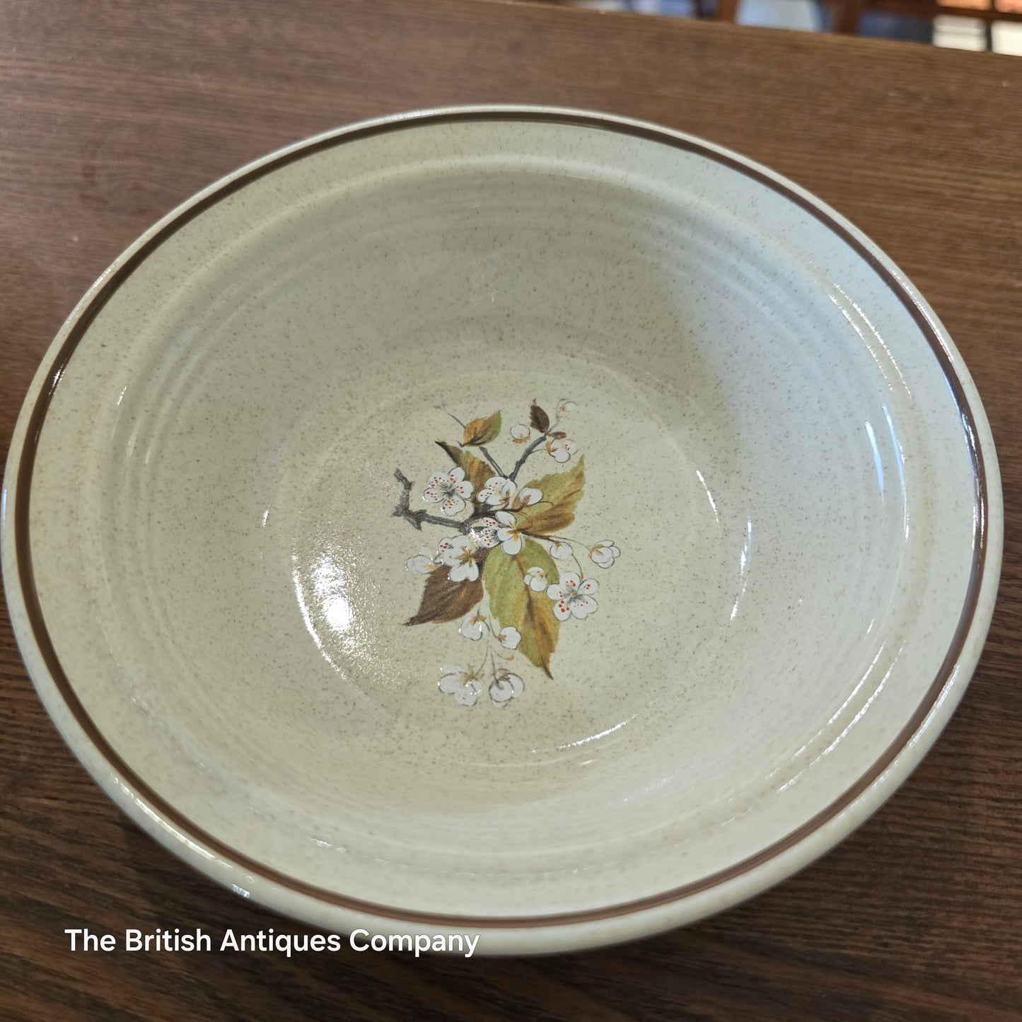 Royal Doulton Wild Cherry Bowl (Diameter 15cm)