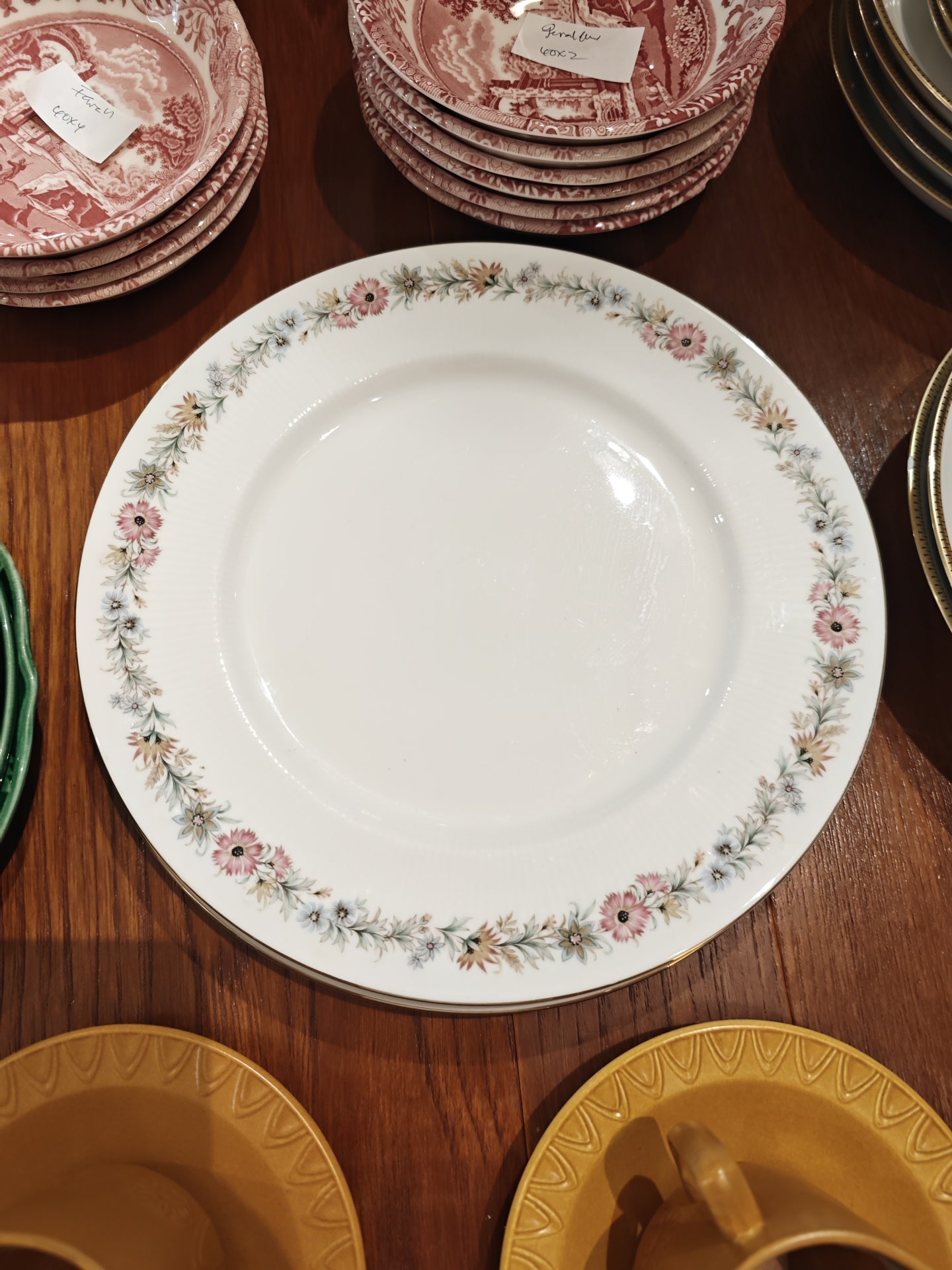 Vintage Paragon Belinda bug dinner plate 27 cm