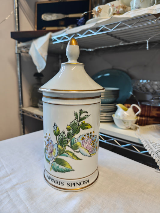 Limoges Porcelain Botanical Apothecary Jars Set Of 2